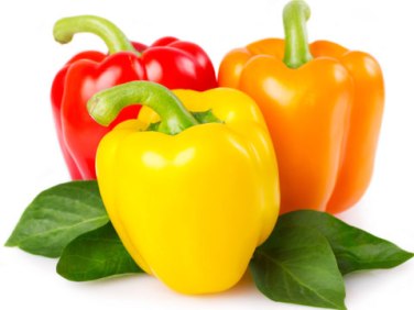 manfaat kesehatan menakjubkan dari paprika